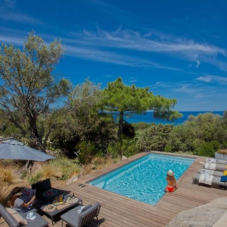 Villa Bodri, Maison En Pierre Avec Vue Mer Et Piscine Chauffee LʼÎle-Rousse Exteriör bild