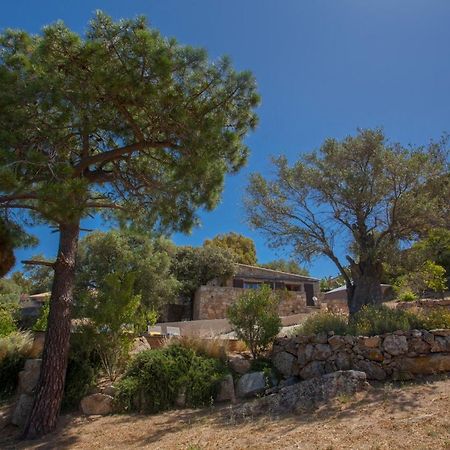 Villa Bodri, Maison En Pierre Avec Vue Mer Et Piscine Chauffee LʼÎle-Rousse Exteriör bild